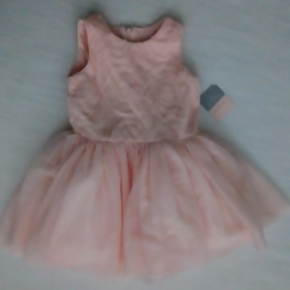 Embroidered Sheer-Overlay Ballerina Dress